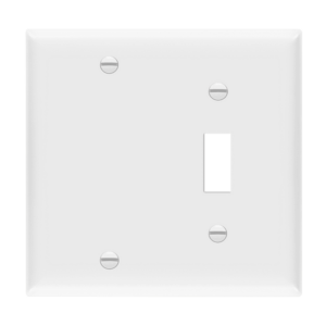 Combination Two-Gang Wall Plate - Blank and Toggle