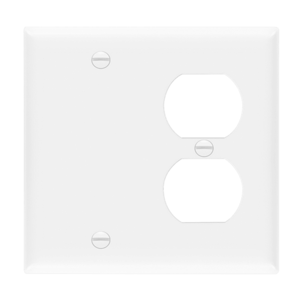 Combination Two-Gang Wall Plate - Blank and Duplex Receptacle