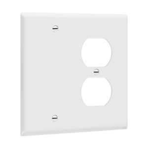 Combination Two-Gang Wall Plate - Blank and Duplex Receptacle
